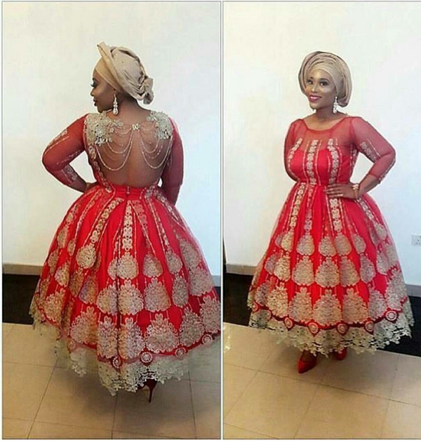 Tulle Net Lace Fabric 55 - Ladybee Swiss Lace